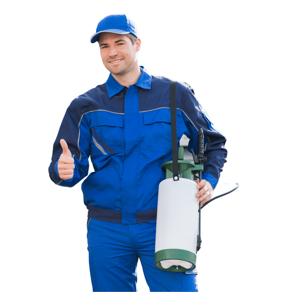 Disinfestazione e Derattizzazione